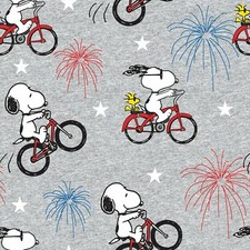 SNOOPY FIREWORKS BICYCLE - BTFQ - 18"X22"