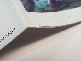 Street Fighter 2010 Authentic Original NES Nintendo Manual Only **