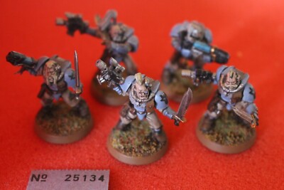 Games Workshop Warhammer 40k Space Wolves Scouts Squad Wolf bemalt WH40K GW 