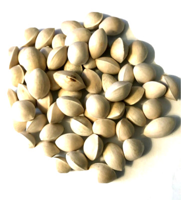 500g/17.60 oz Ginkgo Nuts Premium Raw Ginkgo Nuts New Harvested, 银杏