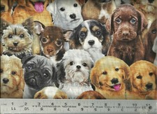 Elizabeths Studio Realistic Puppies Dogs Faces 100 Cotton Quilt Fabric BTY