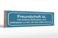 Holzschild Spruch 46X10 Cm Freundschaft Ist Mit Anderen Bekloppten Schild