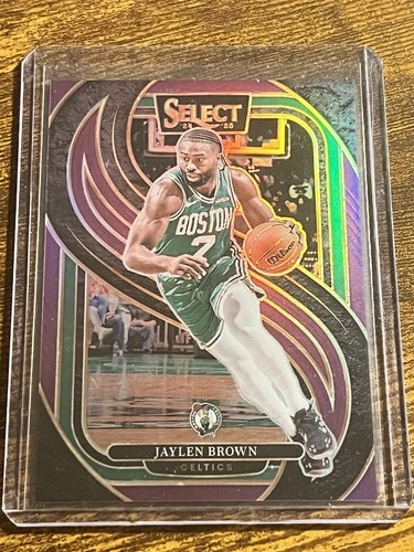 2024-25 Panini Select - Premier Level Jaylen Brown #146 Purple Prizm 19/99