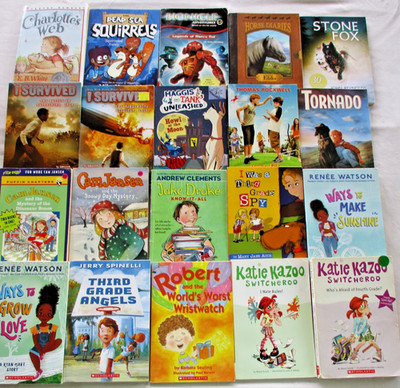 CHILDREN'S CHAPTER 96 BOOK Lot Learn To Read 3rd 4th 5th Grade Level Class Set
