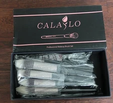 CLASLO Makeup Brushes 9 piece Set ,Eyeshadow Lip Blush Concealer Foundation Face