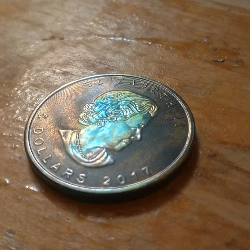 2017 Canadian Maple Leaf .9999 Fine Silver 1 oz Bullion Coin Toned Backdate.