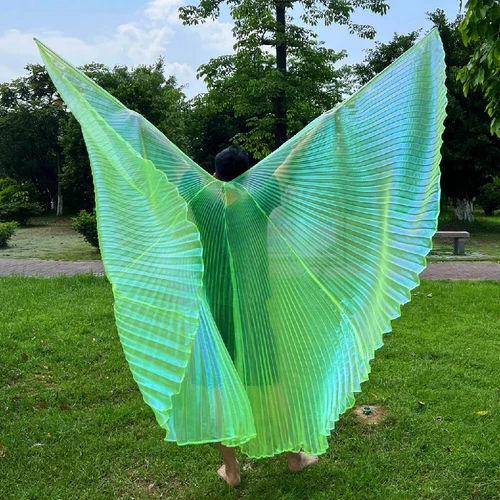 Transparent Belly Dance Wings Stage Performance Dancing Props - Picture 37 of 42