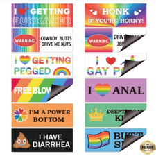 Gay Pride Funny Magnet Bumper Sticker Rainbow Pride Prank Magnetic Sign For Veh