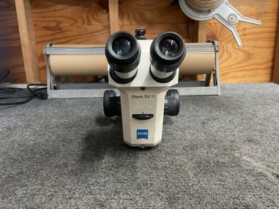 Zeiss Stemi SV11 Stereo Microscopes W/Focus Mount & Carl Zeiss W-PI 10x /23 Eyes