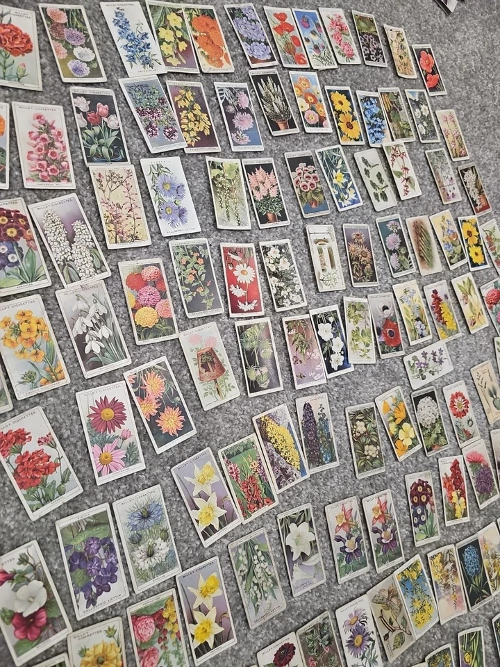 Vintage Cigarette Card Lot 250 ApFlower Cards – Wills's, Player's, Ogden's 1930s - Image 3 of 4