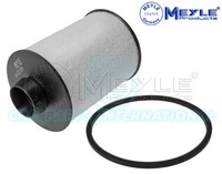Meyle Kraftstofffilter Einsatz Mit Dichtung 6143230004 614 323 0004