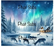 20oz Sublimation Tumbler Wrap Northern Lights Winter Ready to Press Transfer