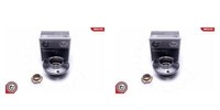 Esen SKV 2X Radnabe Radlagersatz Hinten FüR Alfa Romeo Spider GTV CitroëN 916S