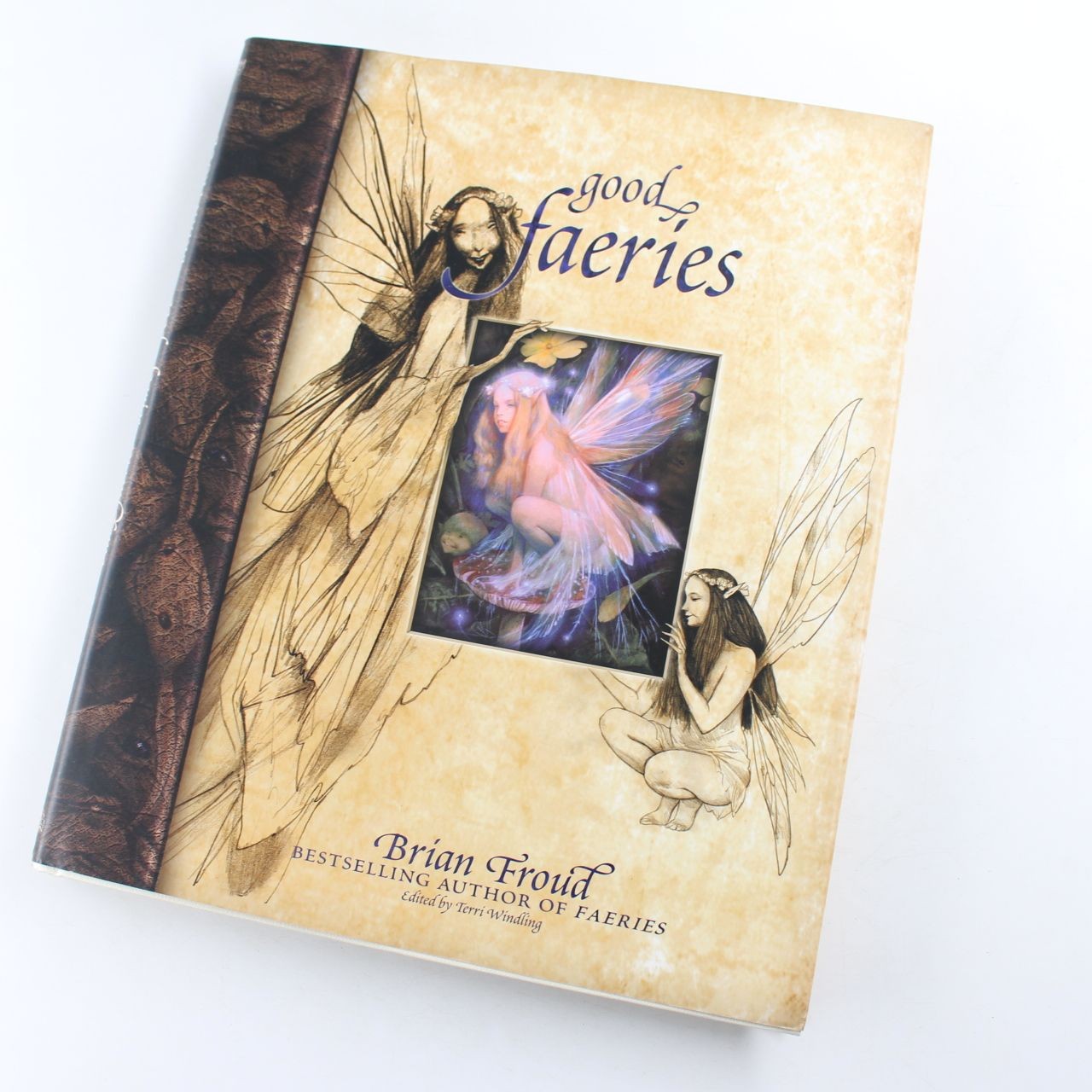 Good Faeries Bad Faeries Book by Brian Froud