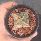 Foto 16 di 16