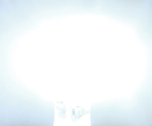 E17 C9 LED Decorative lights White/Warm/Red/Green/Blue LED bulb 64-3014SMD 220V - Picture 5 of 6
