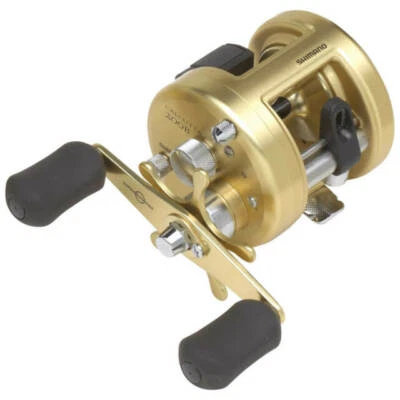 Shimano Calcutta 200xt | eBay