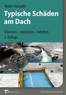 Typische Schäden am Dach | Buch | 9783481033200