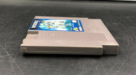 Beetlejuice (Nintendo Entertainment System, NES) Game Only w/ Protector