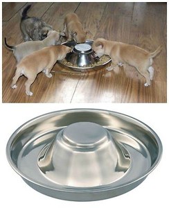 puppy feeding bowls for litters