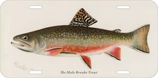 SHERMAN DENTON FISHING NORTH AMERICA MALE BROOKE TROUT CAR METAL LICENSE PLATE