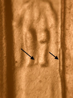 2006 P  DDR??? Doubled Die Reverse Nice Red Uncirculated Lincoln Cent RARE!! #4