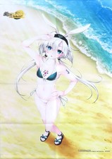 Switch The Alchemist of Ars Magna B2 Tapestry Sofmap Limited Bonus Gift