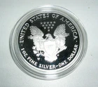 2006-W American Eagle Proof - 1 Oz SILVER - includes Coin & Box & COA