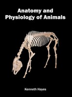 Kenneth Hayes | Anatomy And Physiology Of Animals | Buch | Englisch (2016)