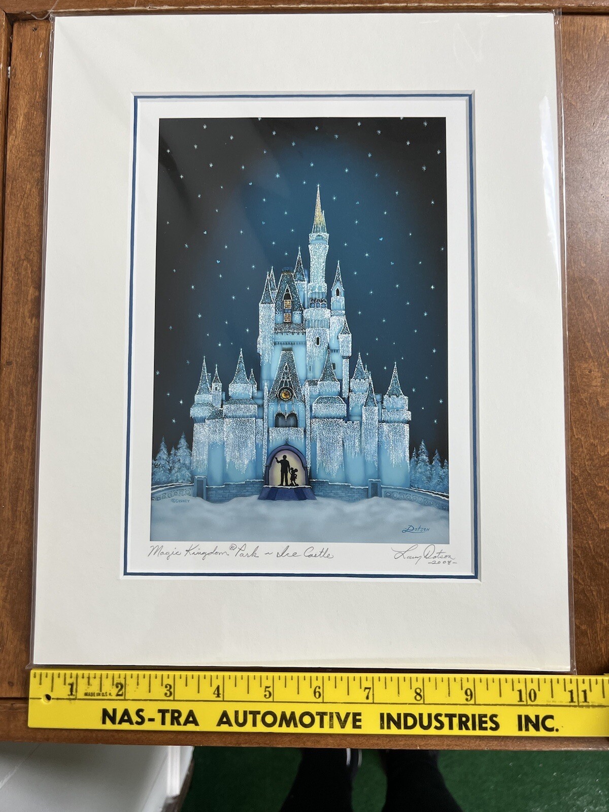 Picture 11 of 12