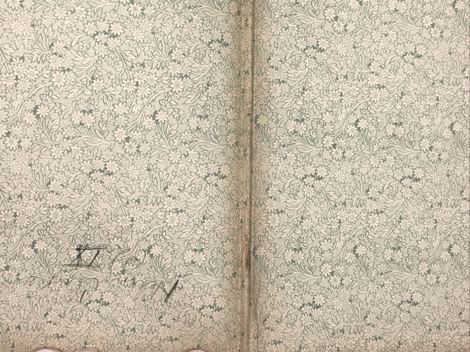 Picture 16 of 16