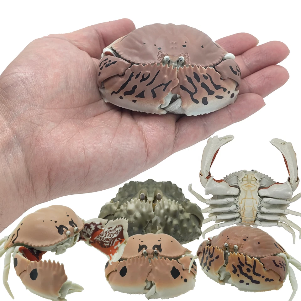 Фигурка Bandai Japan Gashapon Calappa Lophos Shame-faced Box Crab от продавца из Японии - Изображение 3 из 4