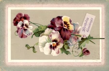 Birthday Greetings to Aunt from Mrs. Chas Burod, Johnson, Neb. Postcard