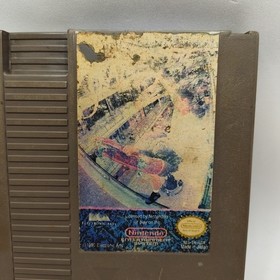 Skate or Die 2 The Search For Double Trouble Nintendo NES Cleaned Tested Working