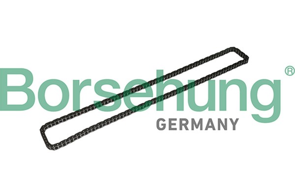 Steuerkette Borsehung B1C024 FüR BMW 1Er E87 3Er Touring E91 E90 E46 Compact E88-image
