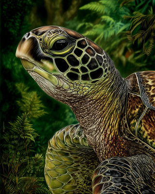 8x10 Sea Turtle portrait - underwater greenery - green-gold - 704943469