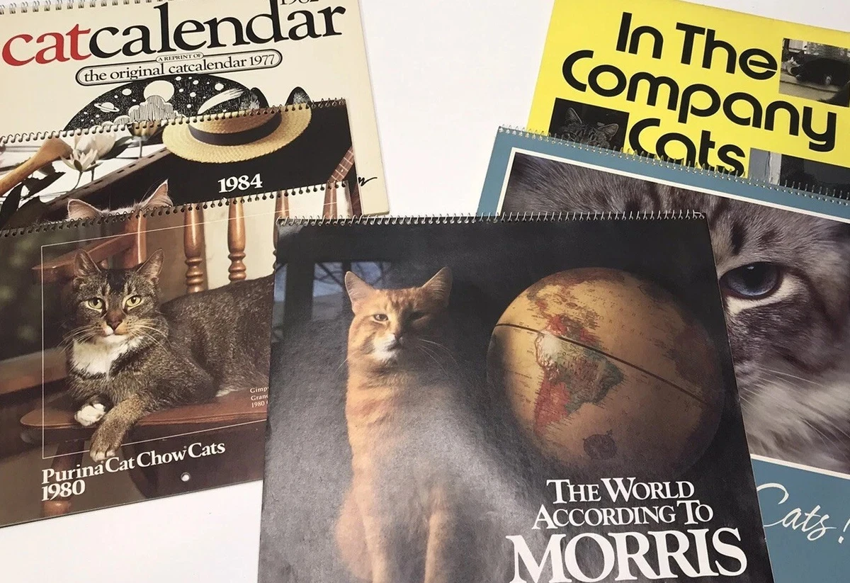 Collectible Cat Calendars & Datebooks for sale | eBay