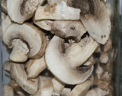 MISS 10 BELOW Freeze Dried Sliced Mushrooms For Camping & Survival Bella .5 ounce