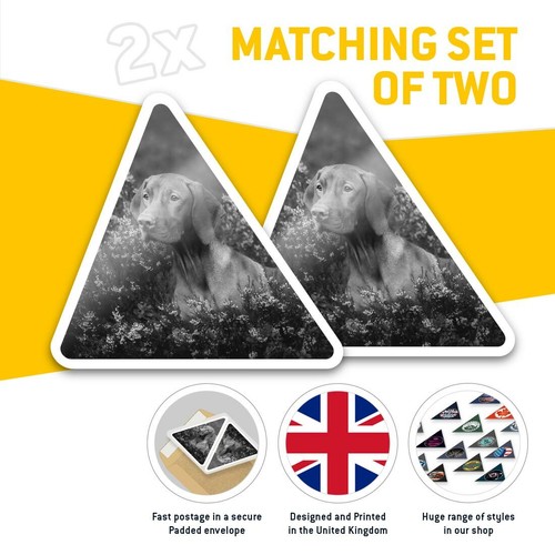 2 x Triangle Stickers 7.5cm - BW - Vizsla Dog Flower Portrait #37213 - Afbeelding 2 van 9