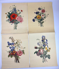 Set of 4 Vintage 1940s Jean Louis J L Prevost Botanical Flower Prints XL 17x21in