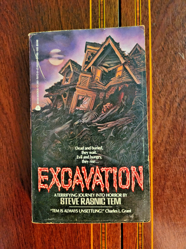 EXCAVATION STEVE RASNIC TEM PBO 1987 AVON BOOKS PAPERBACKS FROM HELL ...