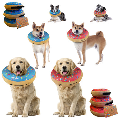 dog collar after operation