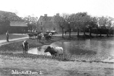 nuu-5 Peldon Hall Farm nr. Colchester, Essex. Foto