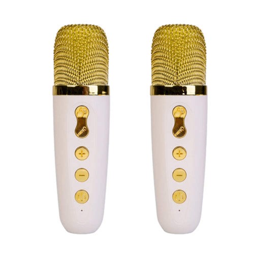 Wireless Karaoke Duo System - 第 3/3 張圖片