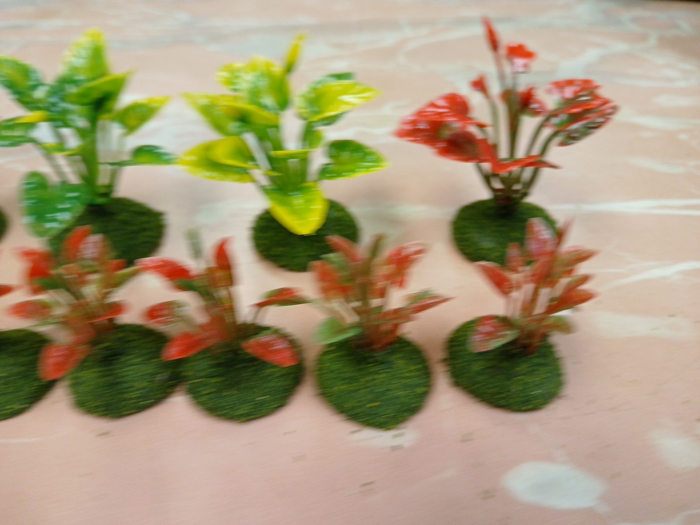 Foto 2 di 3