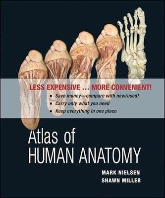 Atlas of Human Anatomy - Loose Leaf, by Nielsen Mark; Miller Shawn - Acceptable