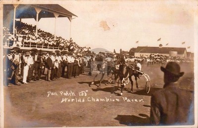 Dan Patch, Highland Park Racetrack Galesburg IL RPPC Photo Postcard COPY