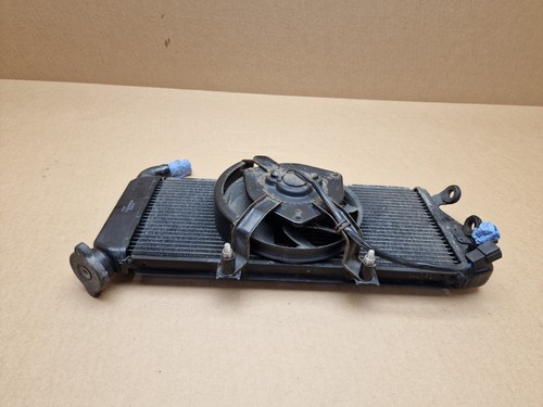 Kawasaki EX650 ER6N Radiator & Fan Genuine OE 2012 - 2016 - 第 10/13 張圖片