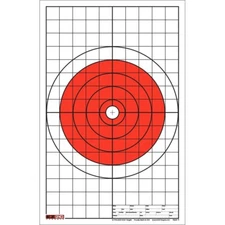 250 Genuine EZ2C Targets Style 5 Rifle or Pistol w 1" Grids (250 pack)