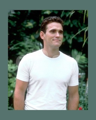 Wild Things (1998) Matt Dillon 16x12 Foto Poster Druck